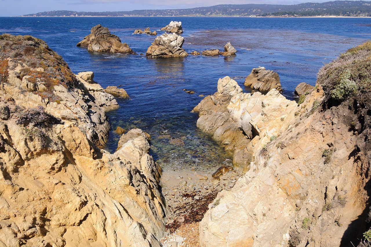 Point Lobos, Carmel